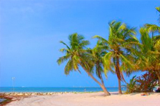 Puerto Vallarta Beach Break